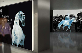 Nel 2007 siamo stati invitati a partecipare ad un progetto di design interpretativo d’interni per il National Horseracing Museum di Newmarket.