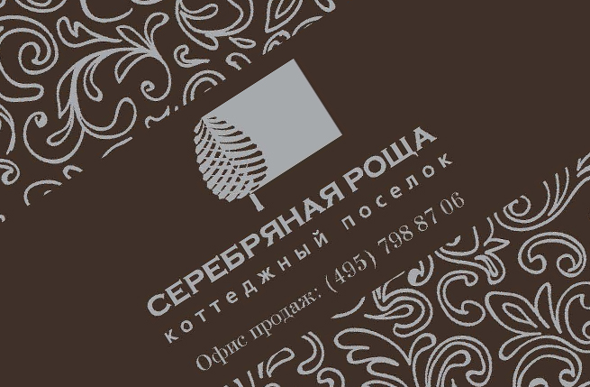 Silver Birch Developments