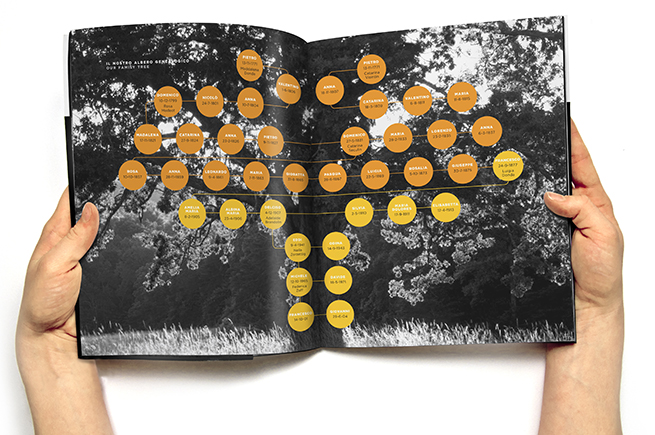 luisa catalogue open