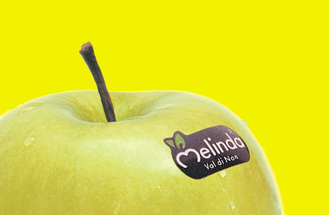 minale tattersfield melinda main image