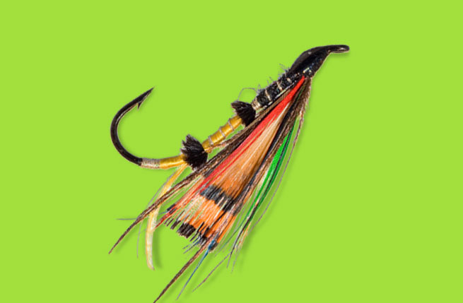 Brand identity design