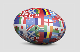 Gli obiettivi del progetto erano rivalorizzare gli oggetti esposti nel museo, incrementare il numero di visitatori e fornire un'attrattiva maggiore per la Coppa del Mondo di rugby del 2015.