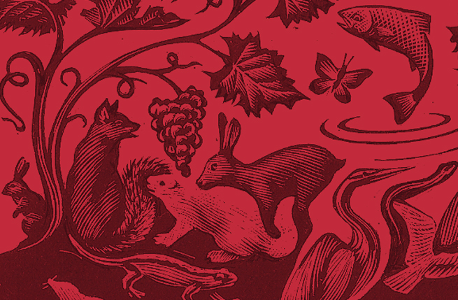 torresella illustration_default_red