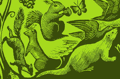 Come abbiamo potenziato le vendite di Torresella